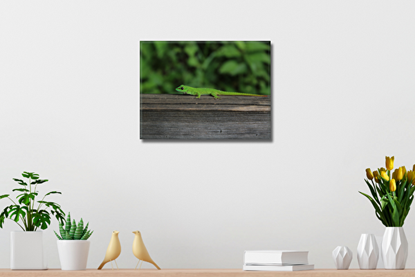 Fotoleinwand 40x30 cm 